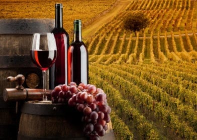 Quais são as melhores vinícolas da Calábria?